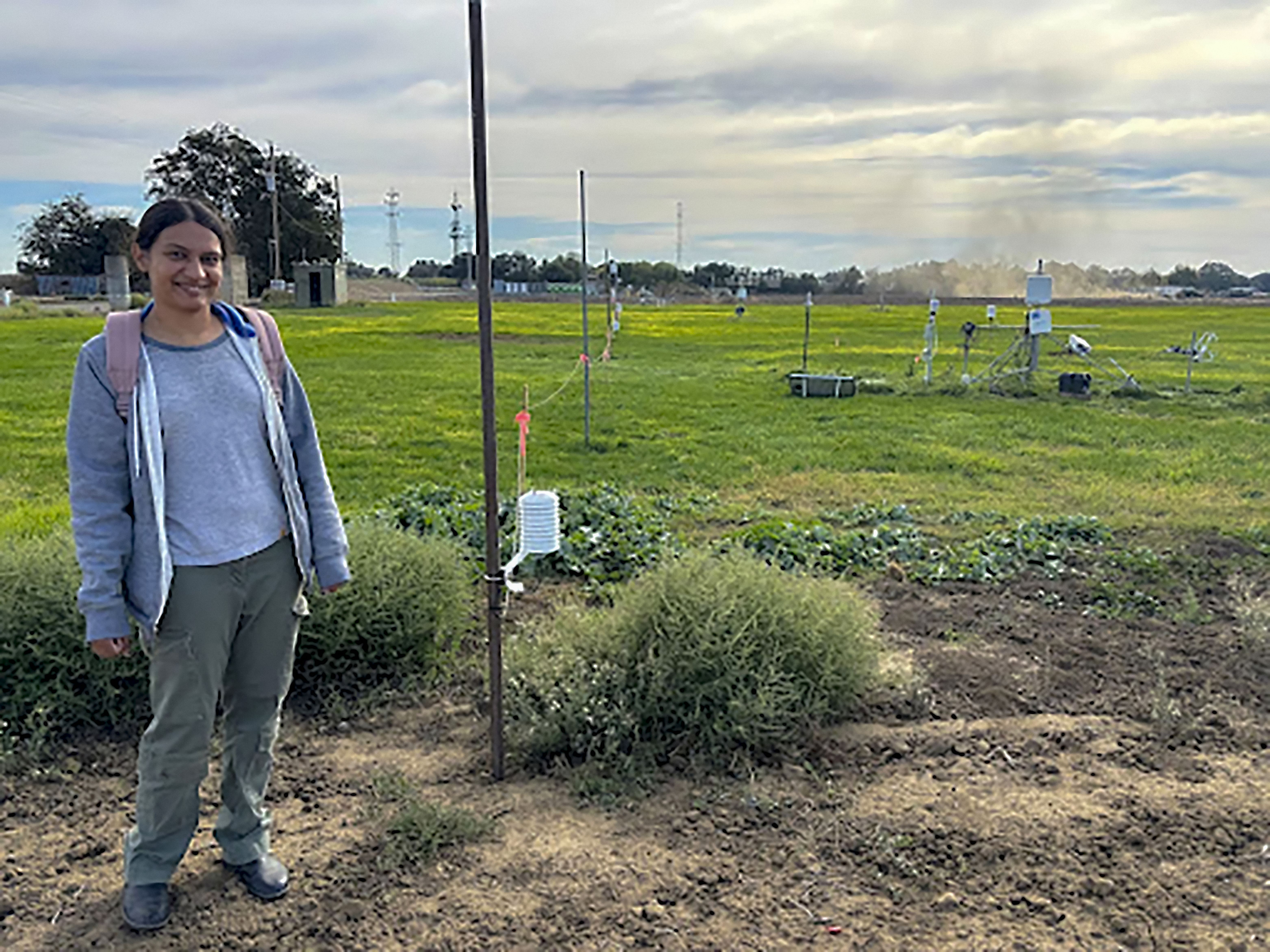 Plant-based irrigation management