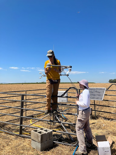 Plant-based irrigation management