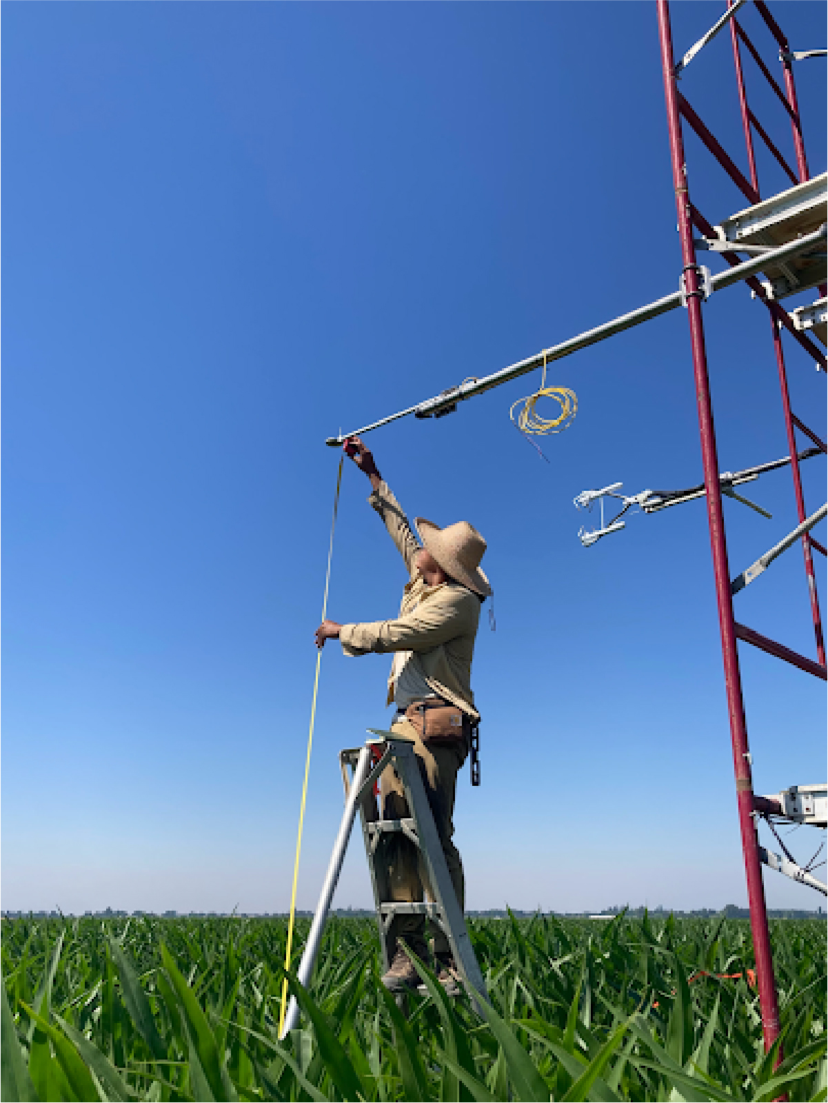 Plant-based irrigation management