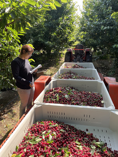 Plant-based irrigation management